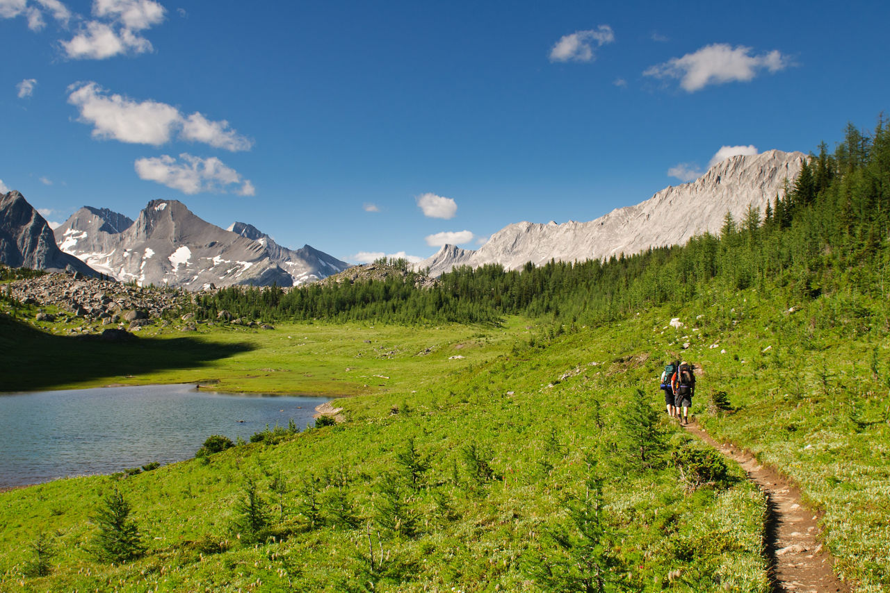 Wandern Calgary Naturausblick grün Berge See