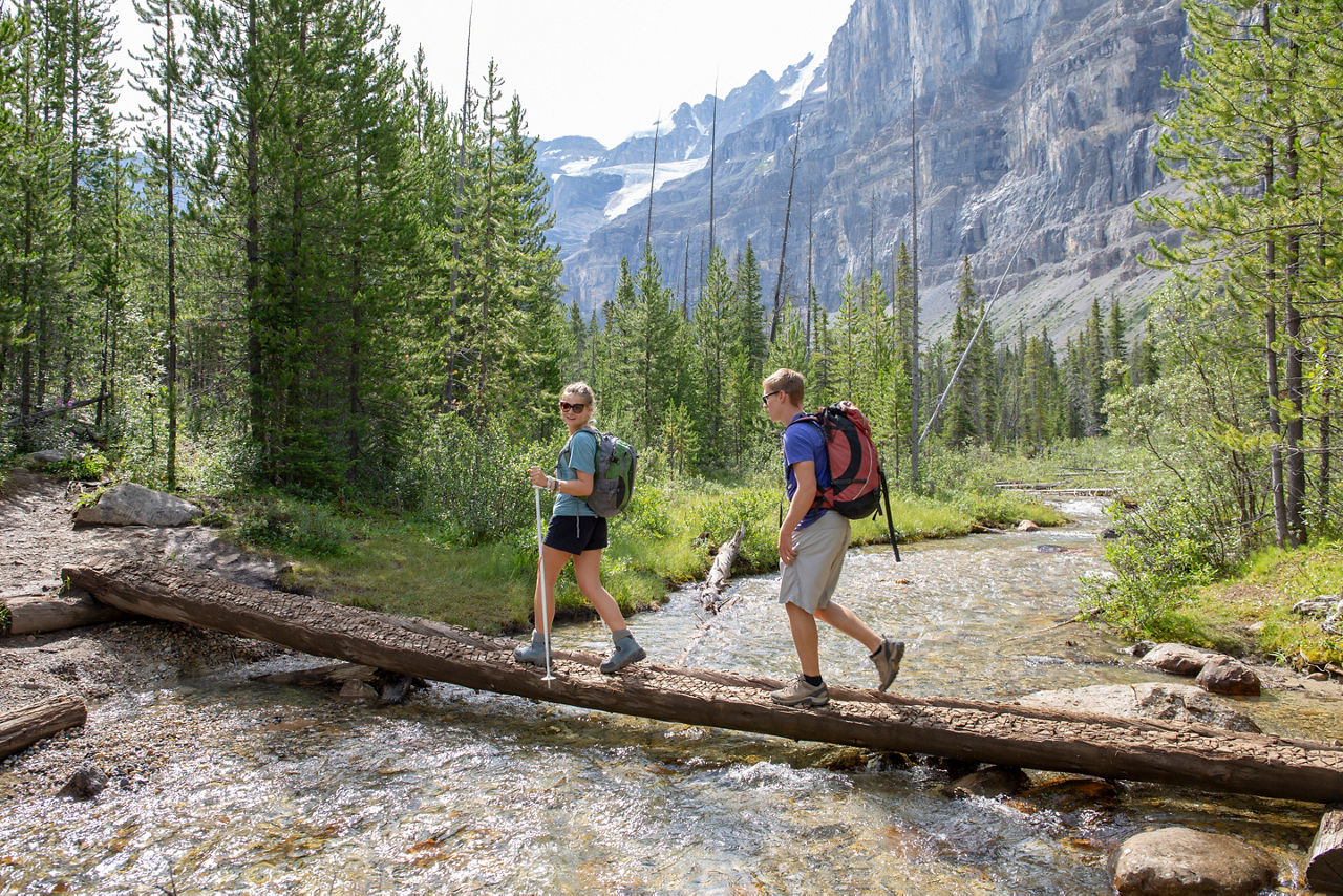 Wandern Calgary Wald Fluss Berge