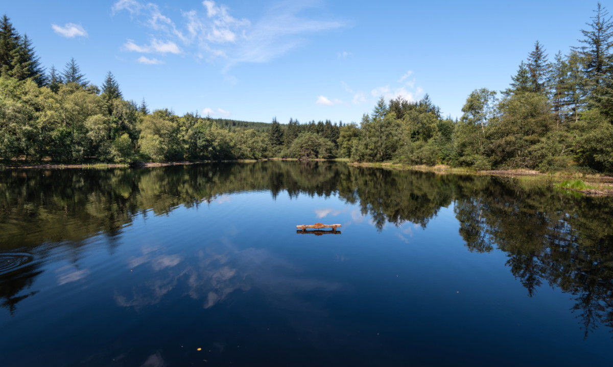 Rennvelo fahren Edinburgh Stranraer Seeblick Wald 
