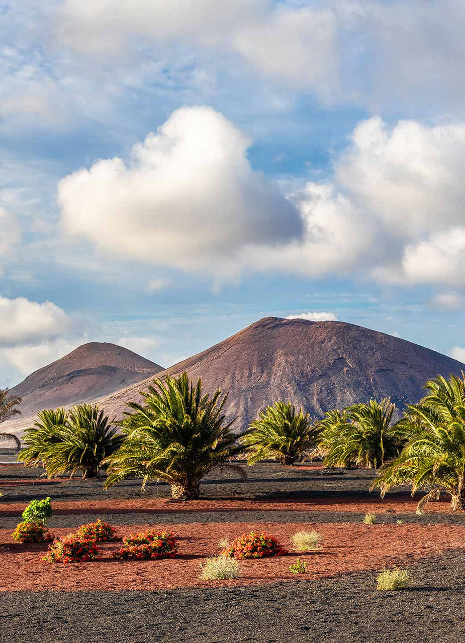 Volcano in Timanfaya Park