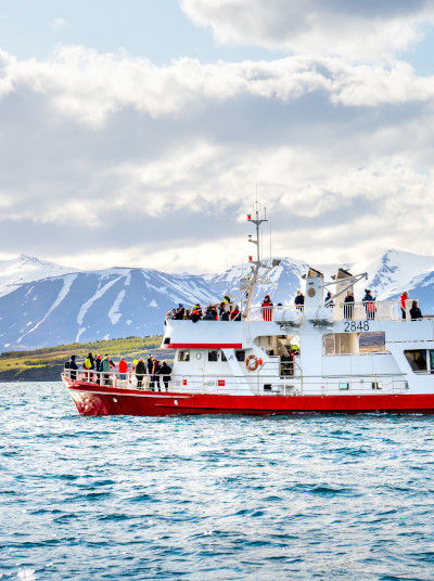 Whale watching boat in the Eyja fjord