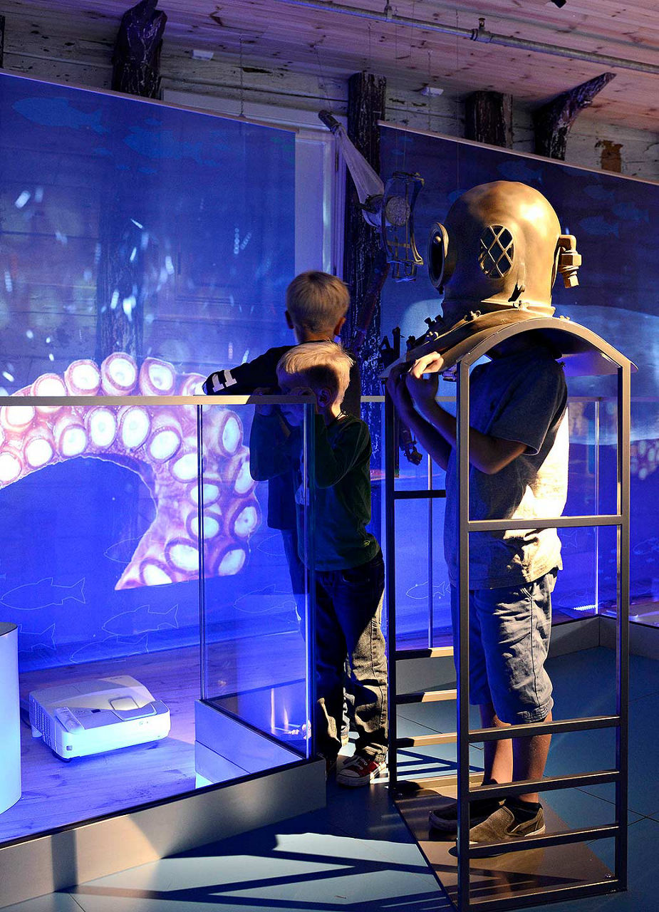 Boy visiting exhibition