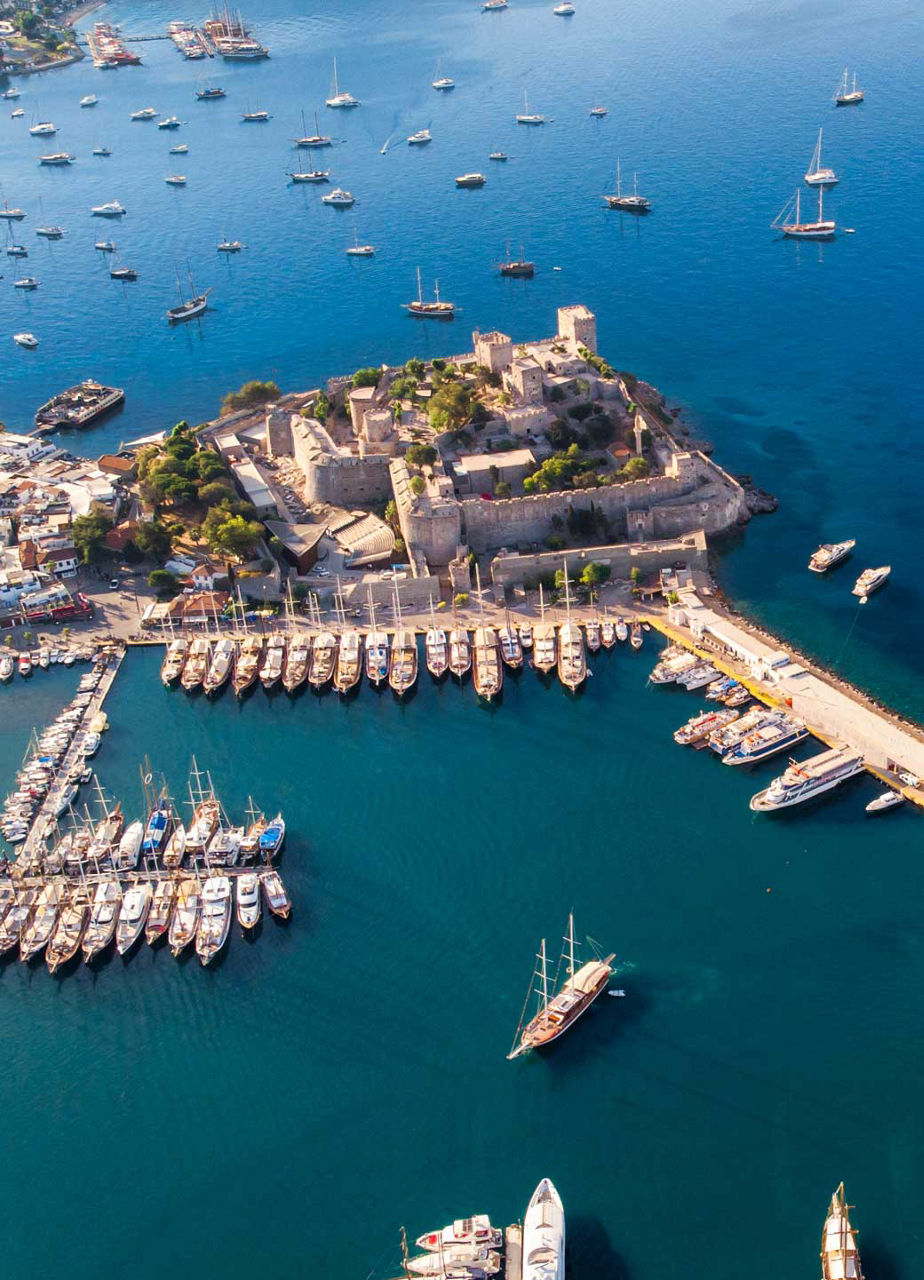 Aerial View of Castle