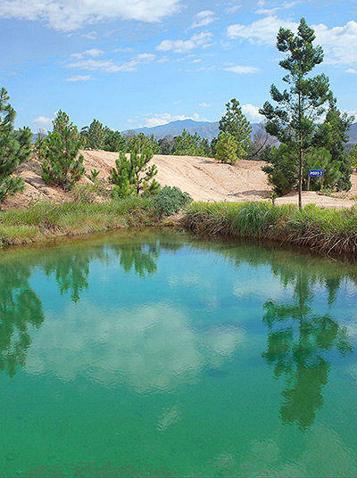 Nature pool