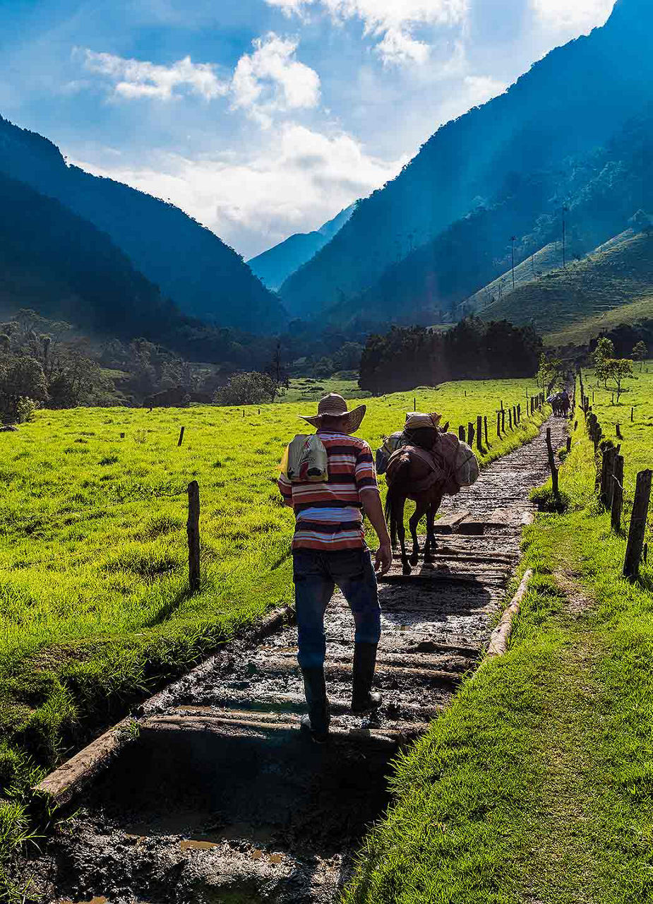 Man walking in mountains