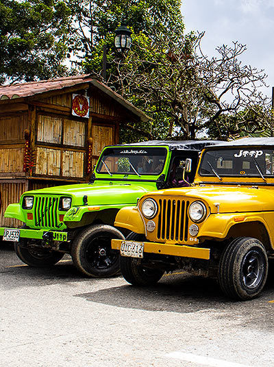 Jeeps