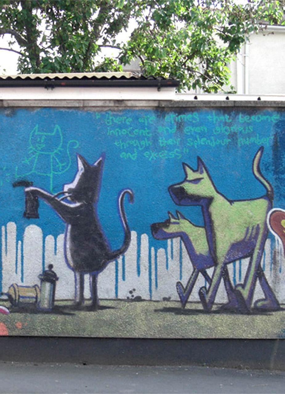Cat and Dog