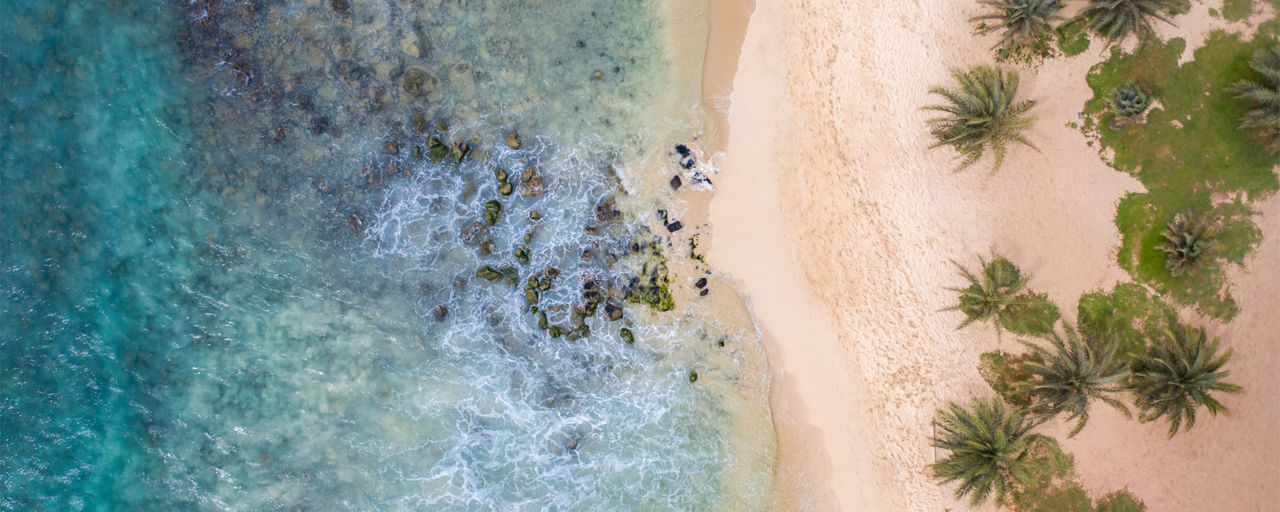 Blick auf Sandstrand mit Palmen und Meer aus der Vogelperspektive