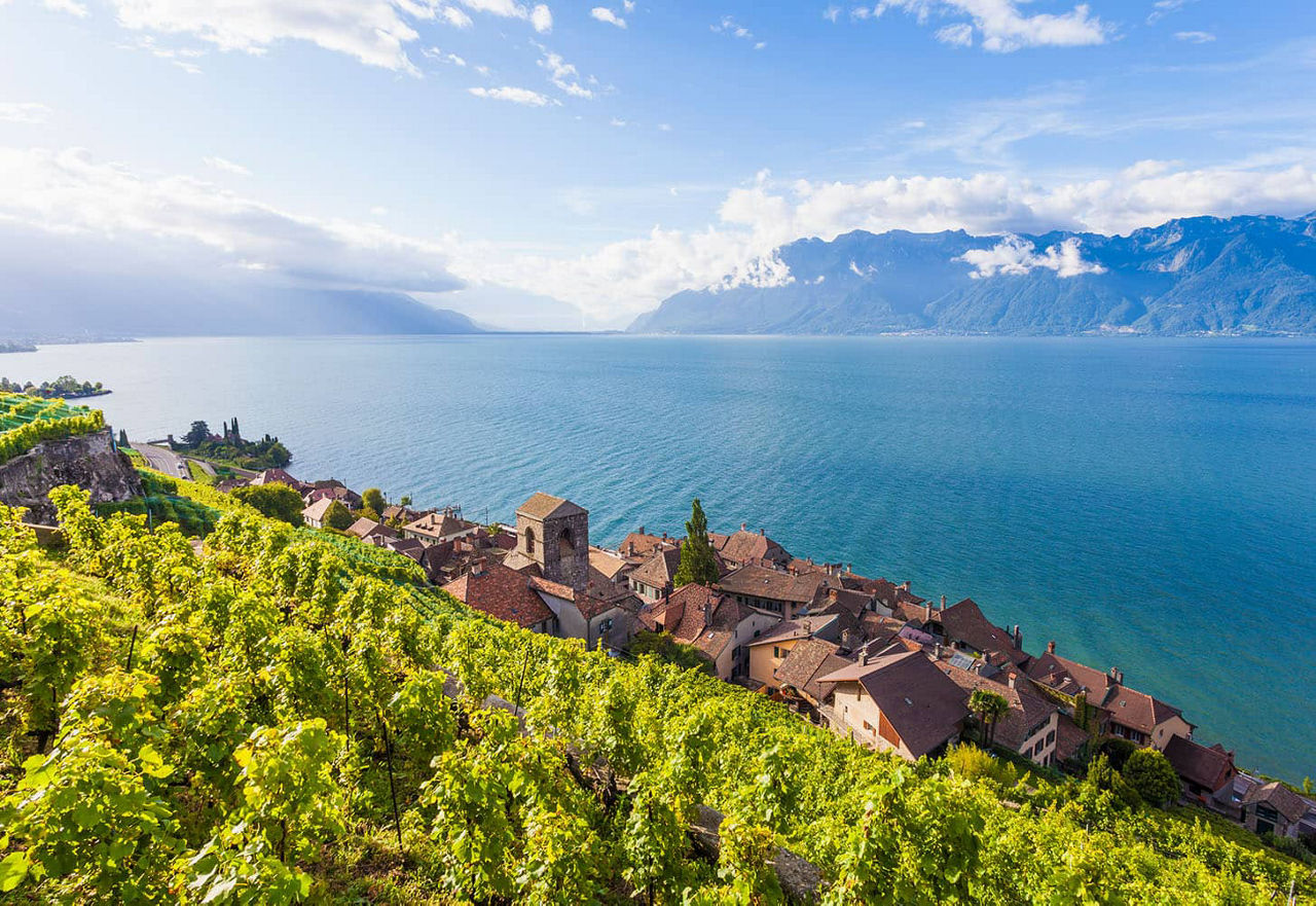 Lavaux