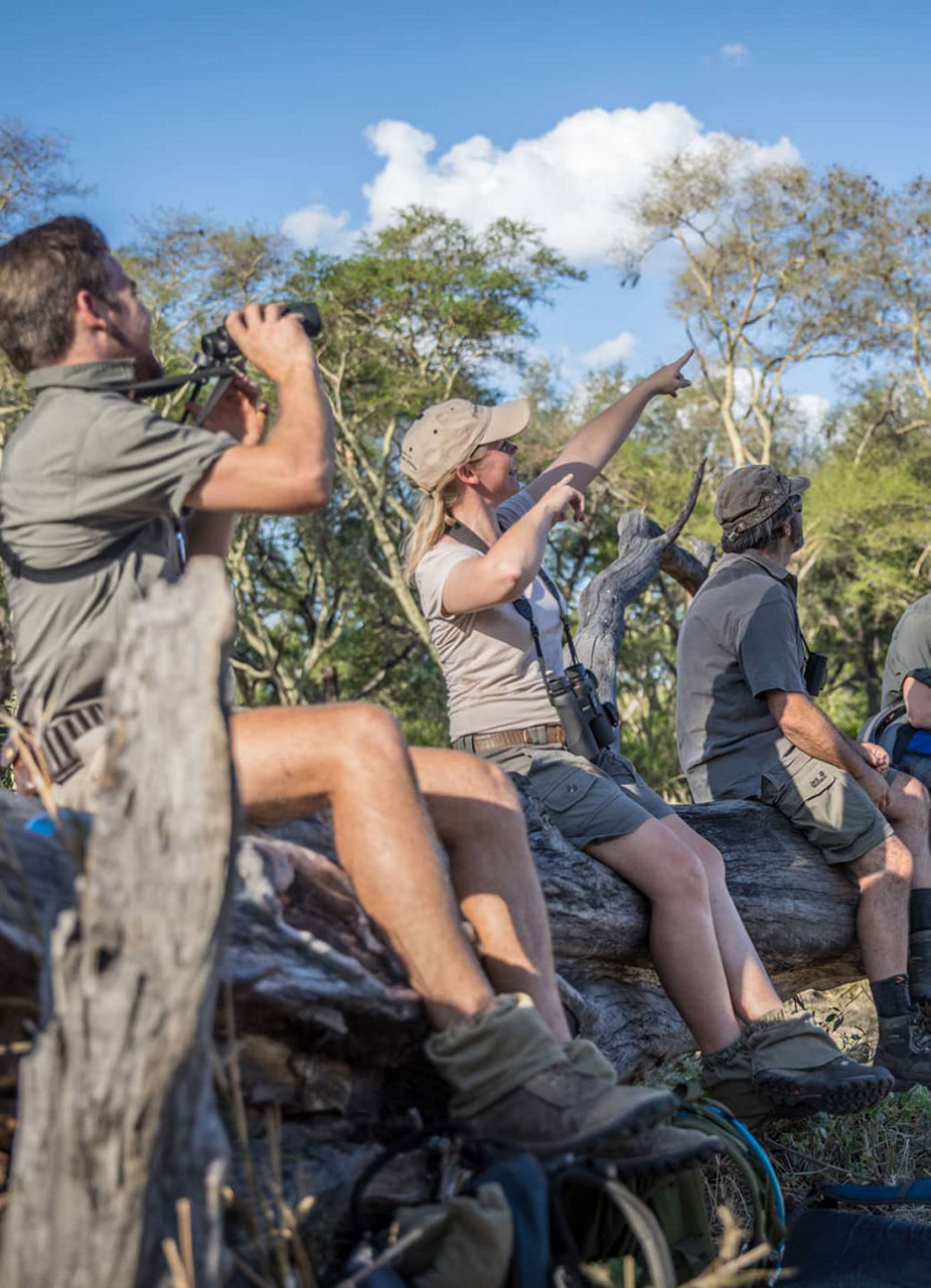 Field Guide students on a game walk