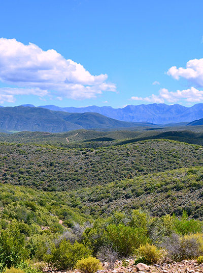 Landscape around the Cango Caves