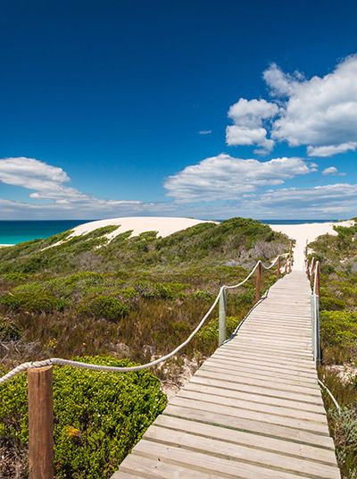 Wooden path along the coast