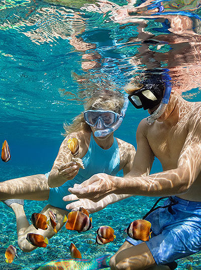 Couple snorkling