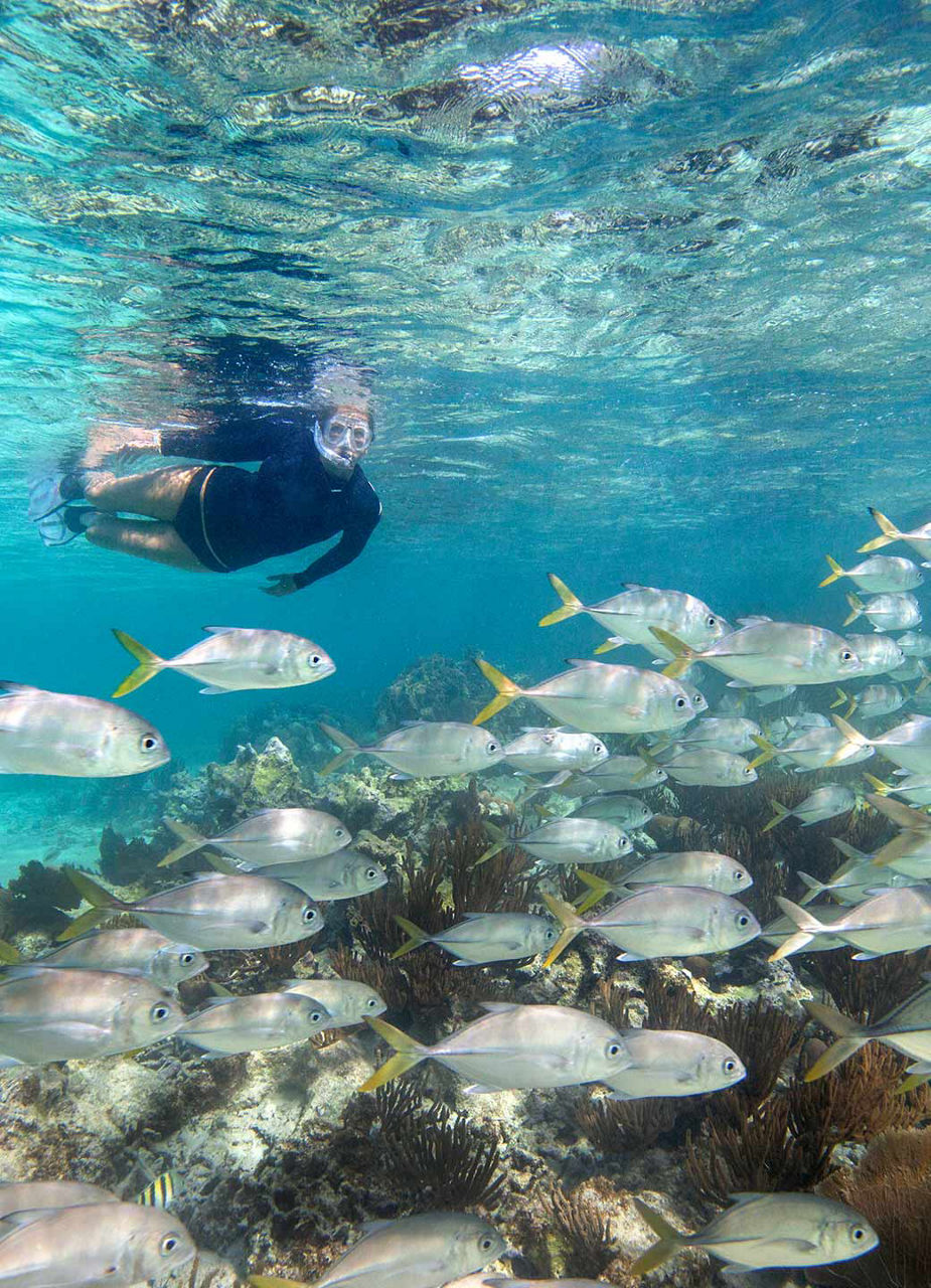 Woman snorkling and watching lots of fish