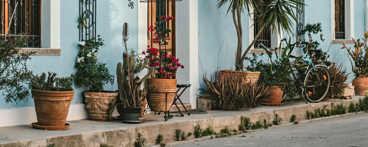 Several flower pots in front of a house entrance