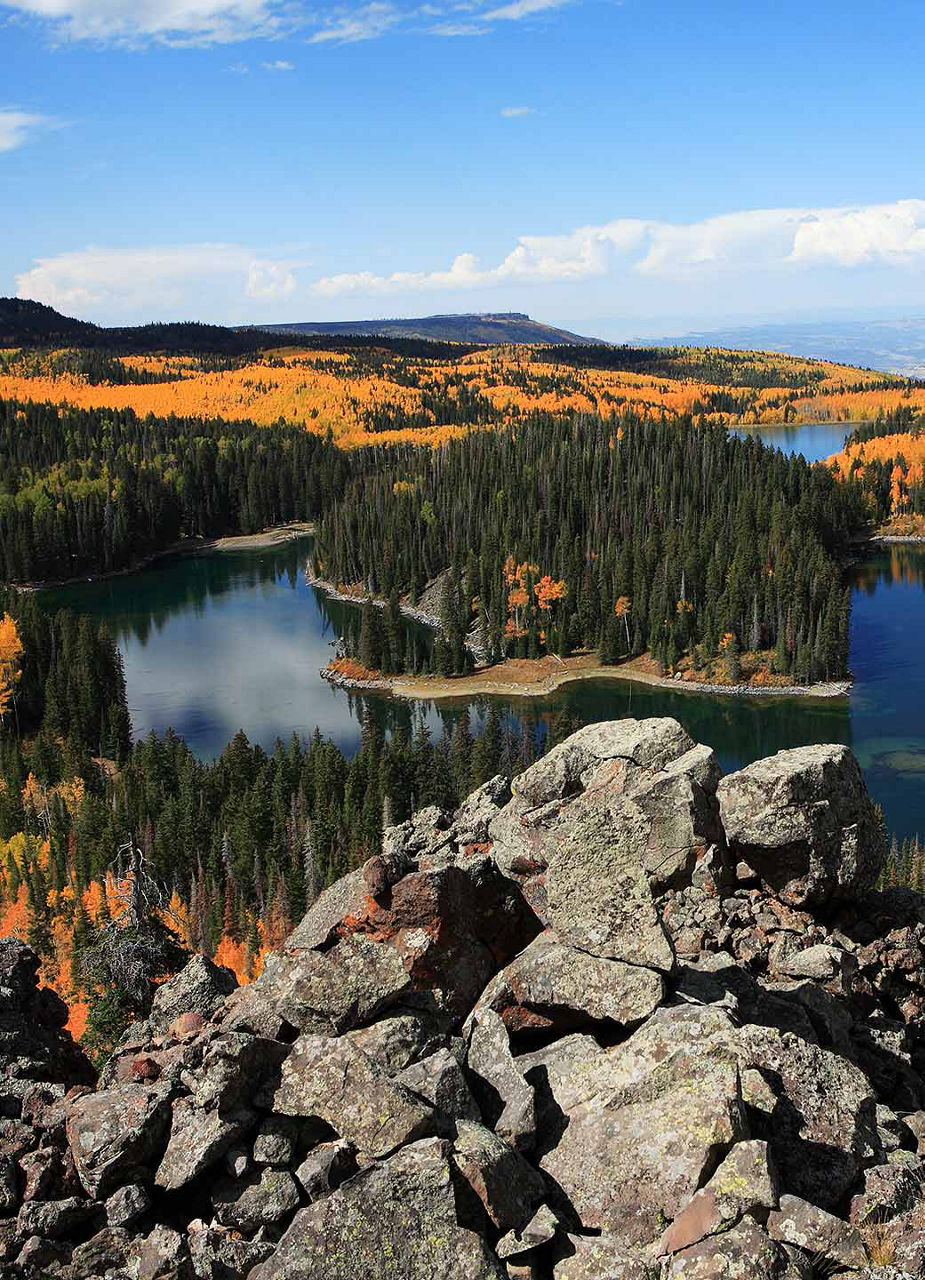 Nature in Colorado