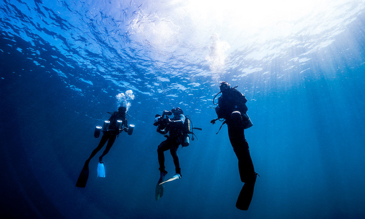 Three divers in the water