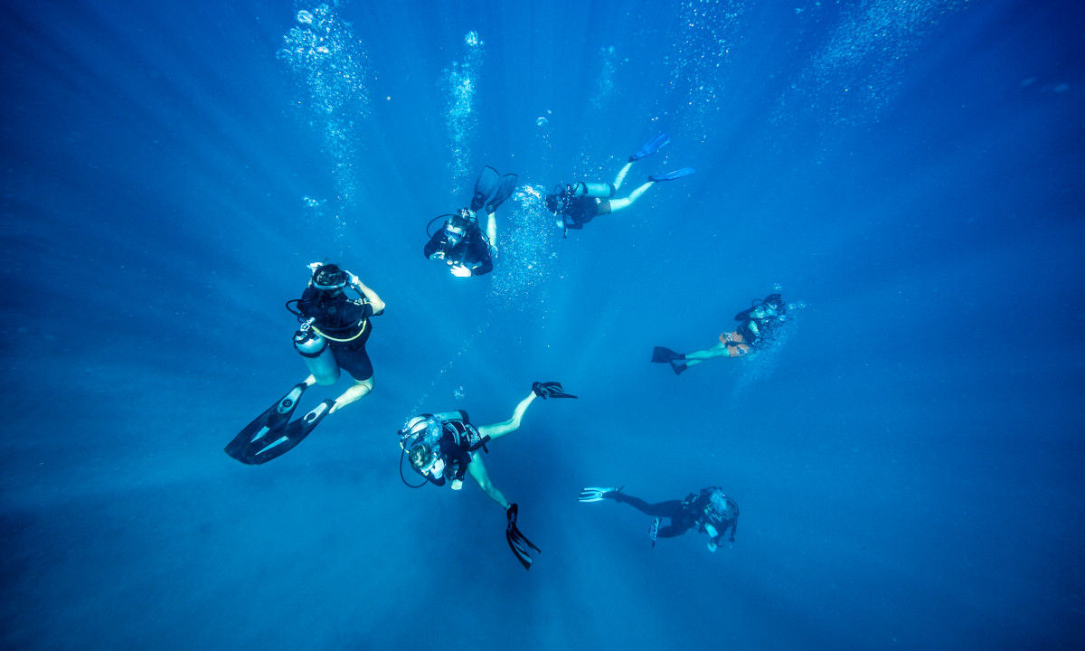 Several divers underwater