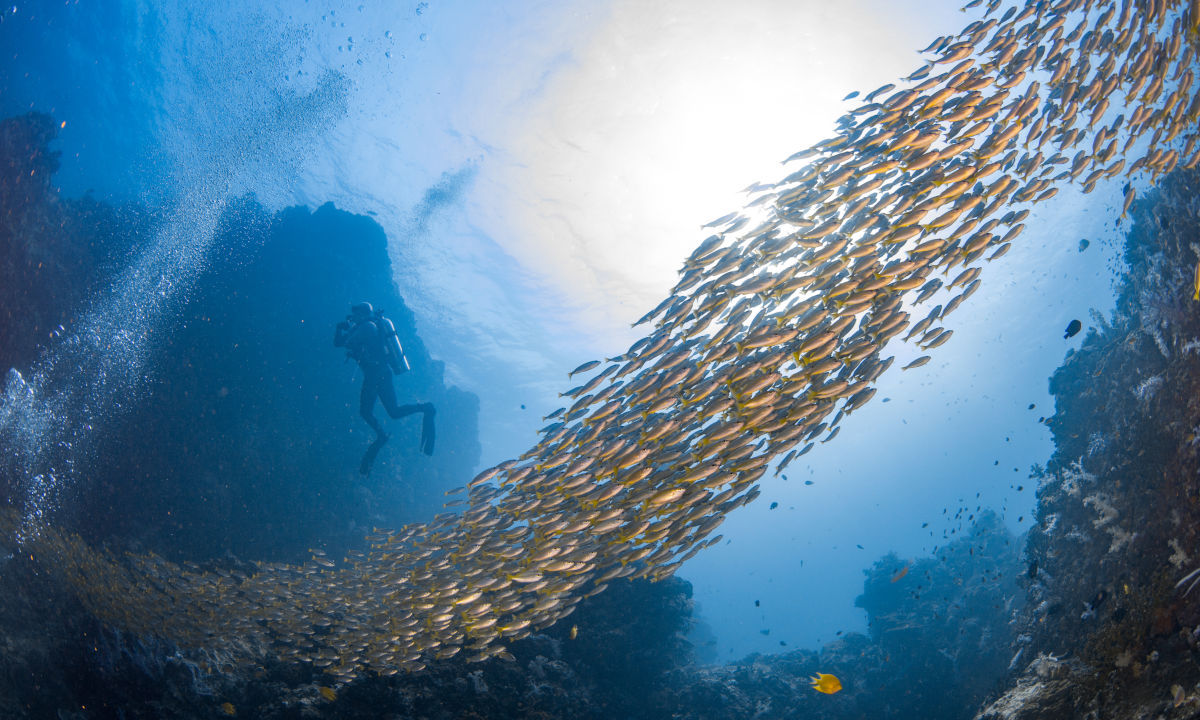 Diving in Phuket