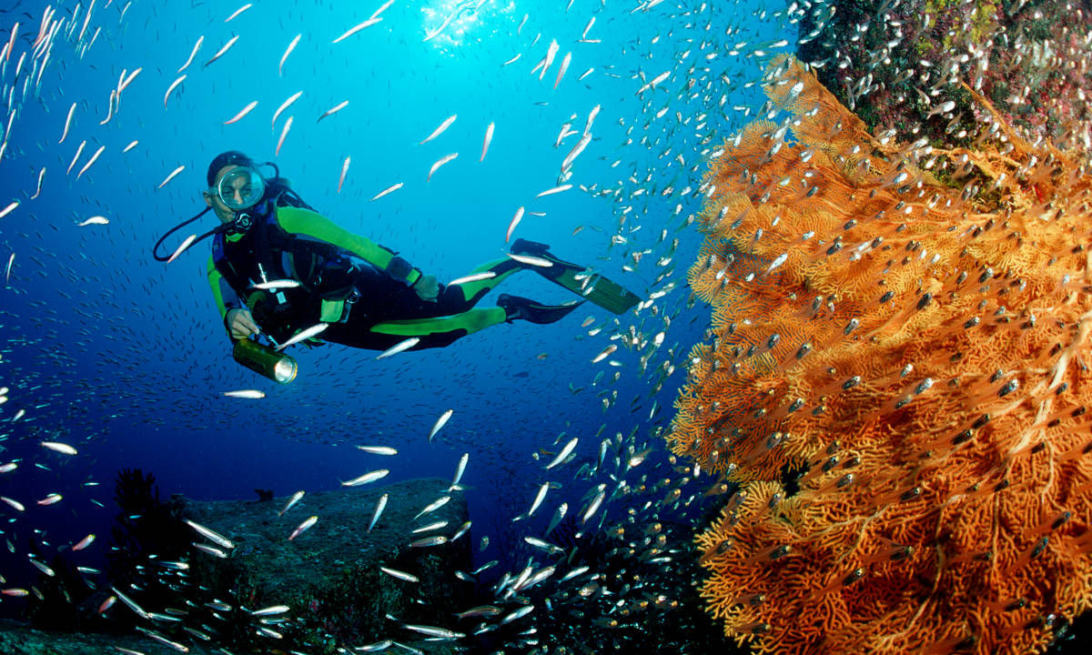 Diving in Phuket