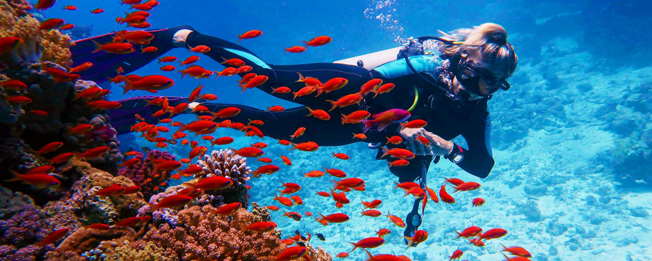 Eine Taucherin umgeben von roten Fischen