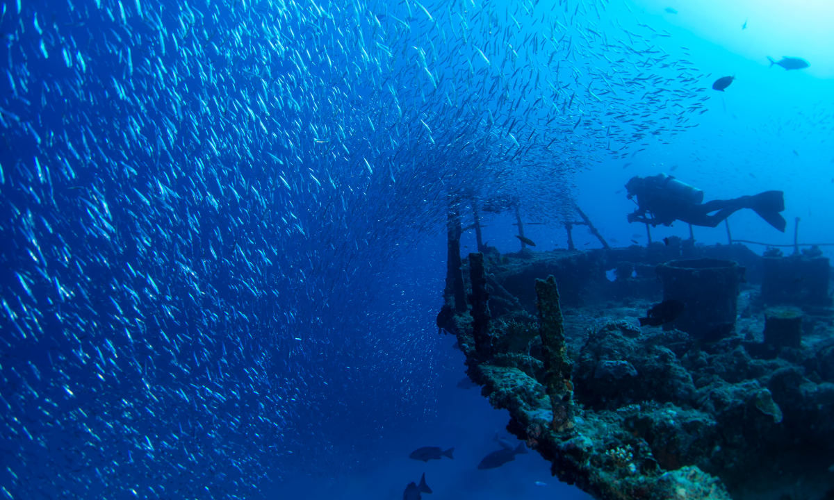 Plongée sur l’île d’Embodhoo