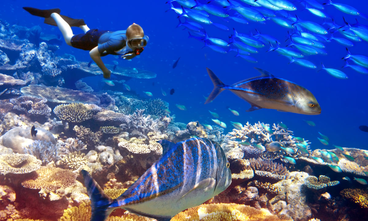 Monde maritime de l’île Maurice