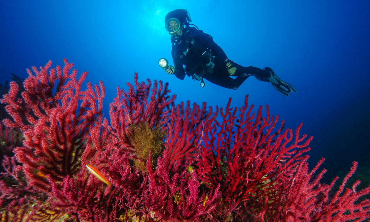 Diving in Sardinia