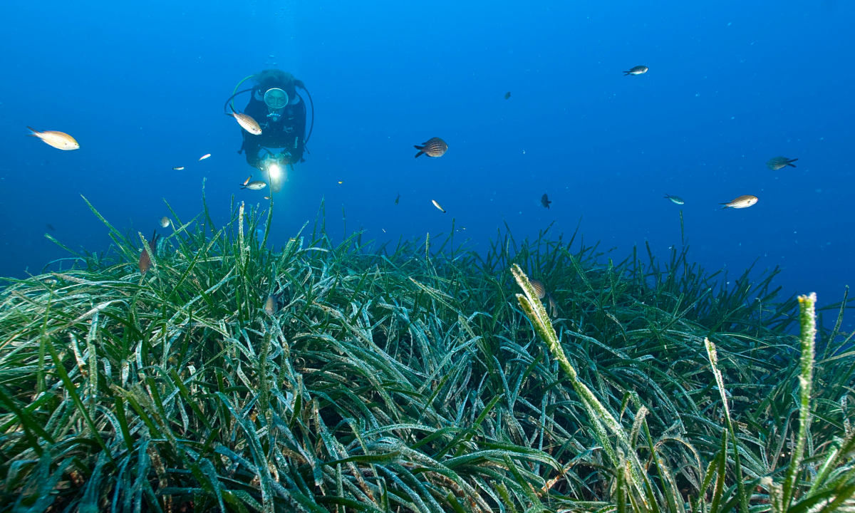 Sant’Antioco diving