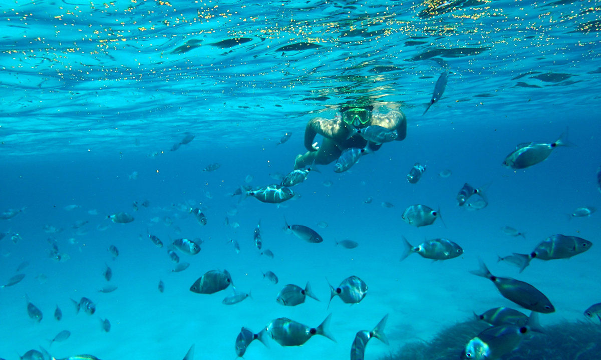 San Pietro diving