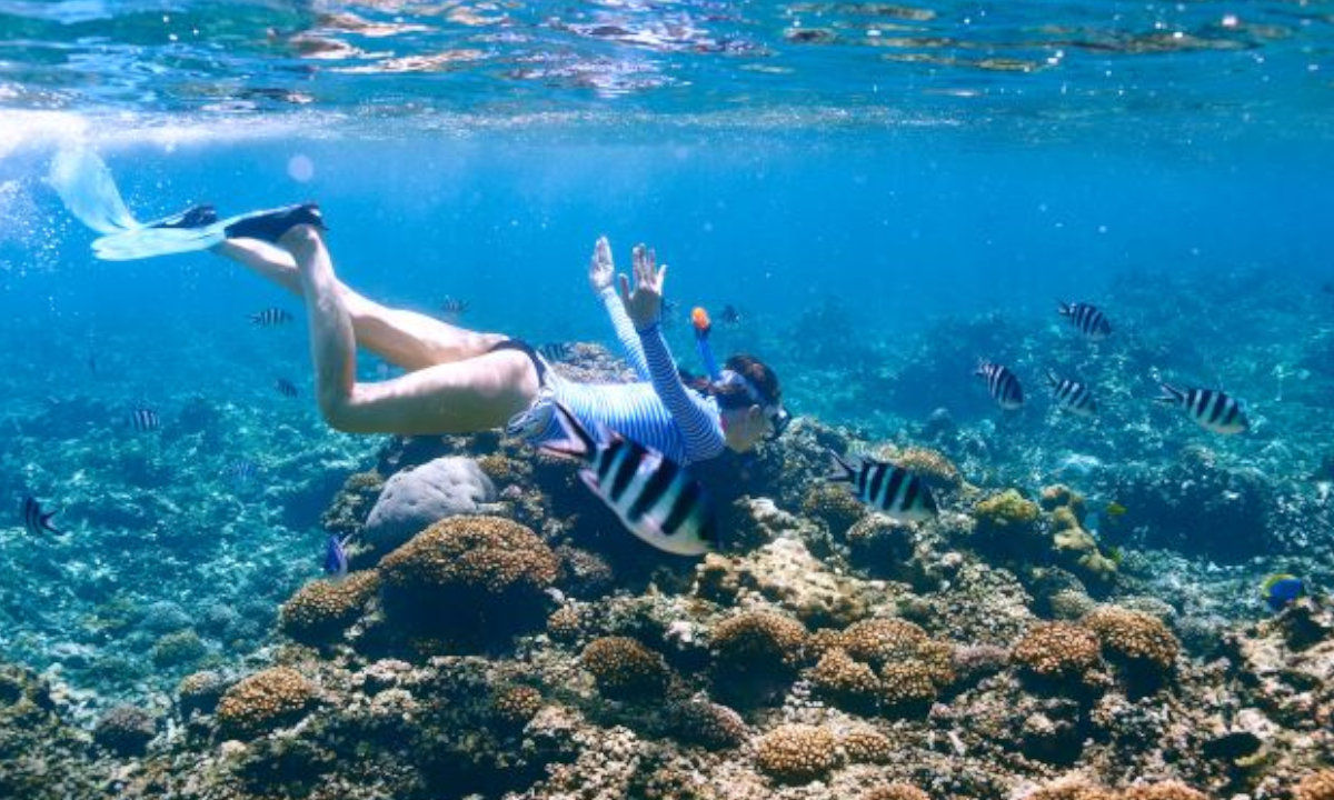 Safari de plongée aux Seychelles