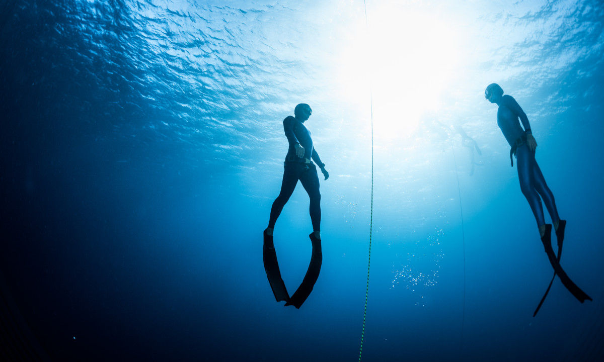 Diving in Tenerife