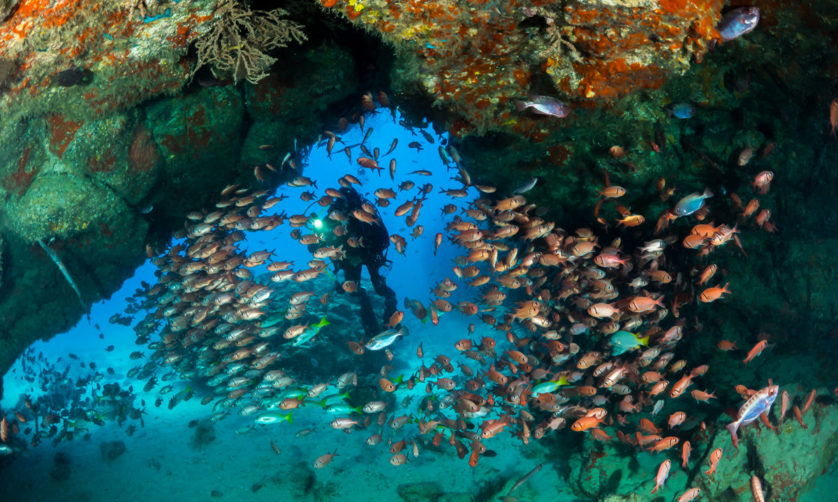 Diver in an underwater cave in Cape Verde
