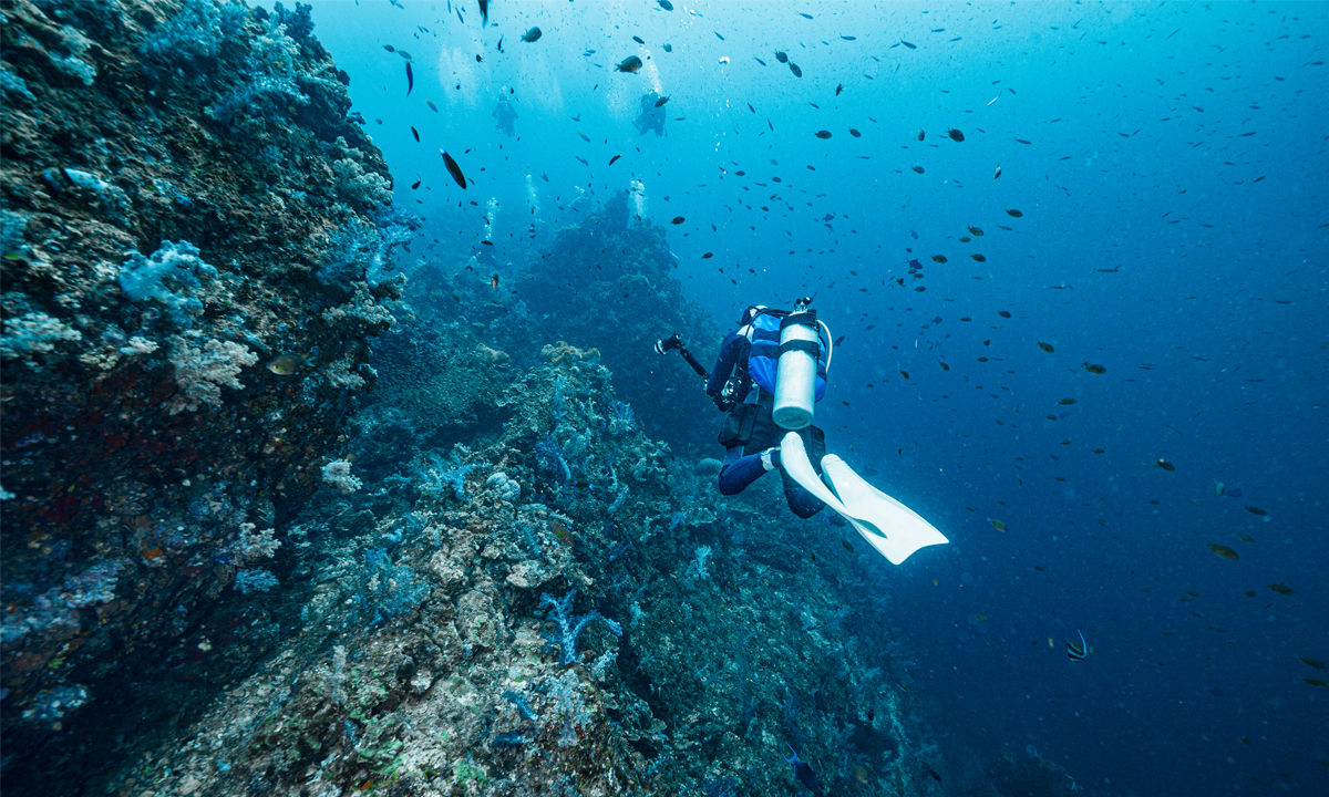 Ein Taucher probiert Drift-Diving und lässt sich von der Strömung mitreissen.