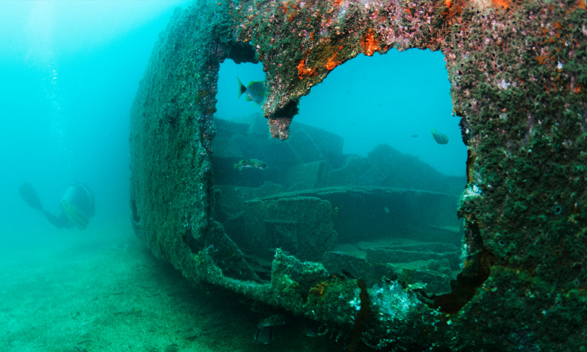 A shipwreck on Catalina Island.