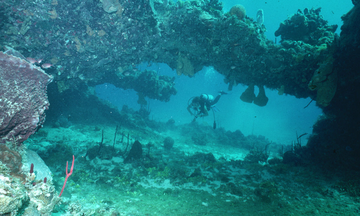  A diver swims through a coral entrance.