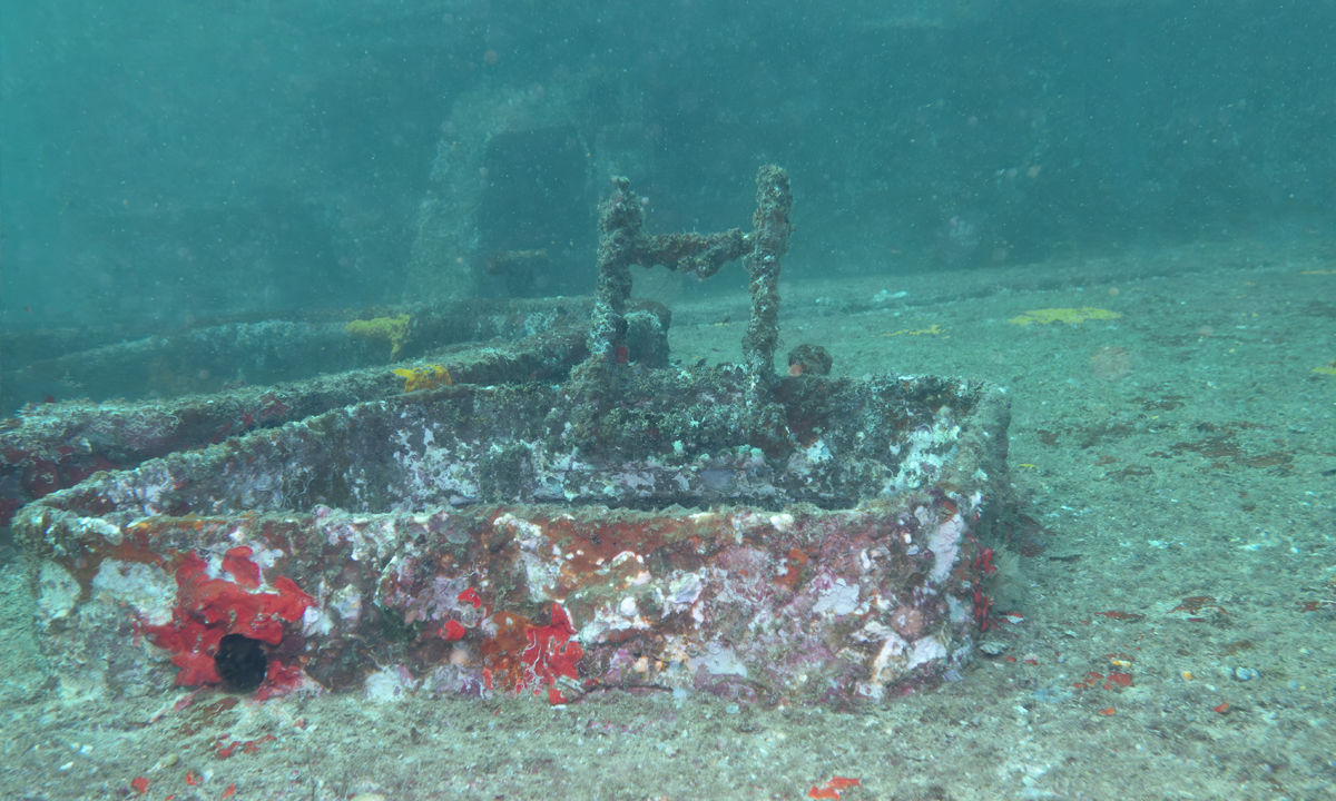 The wreck of the ship Al Batinah in Oman.