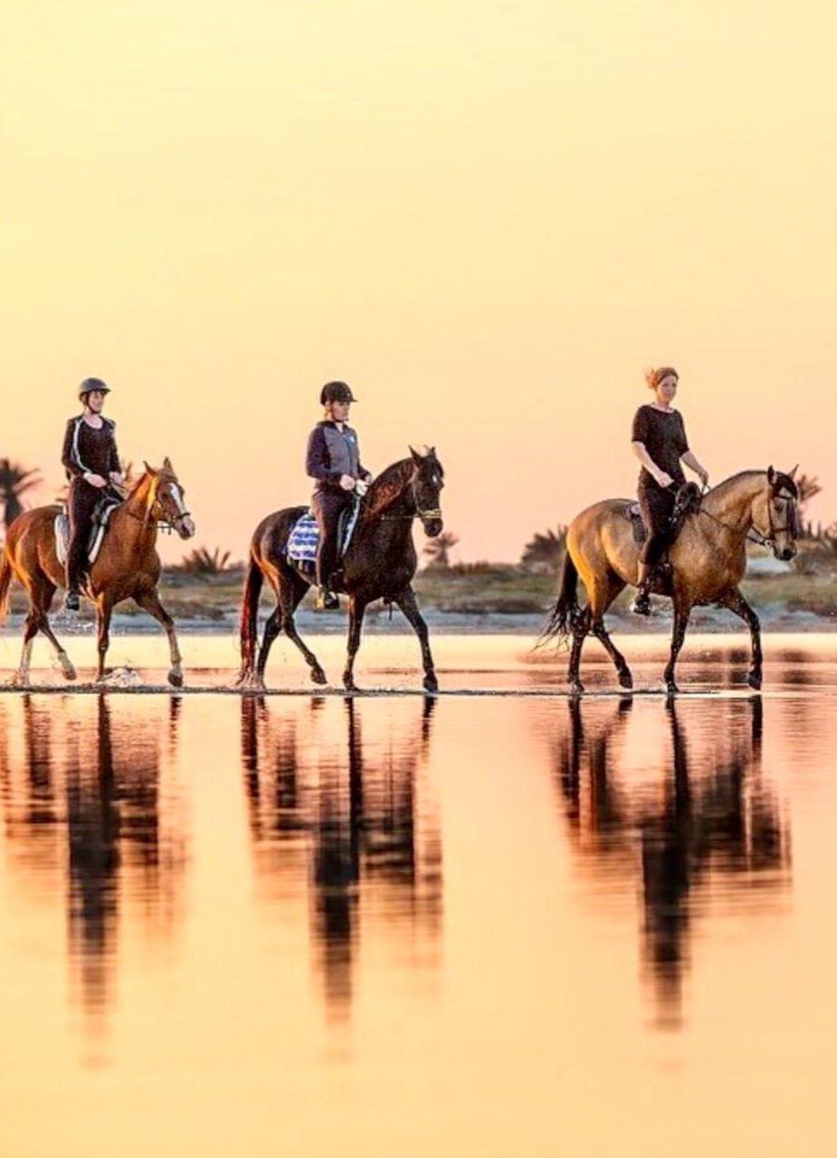 Horseback Riding