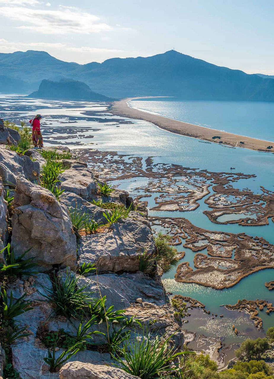 Swampy area at İztuzu Beach 
