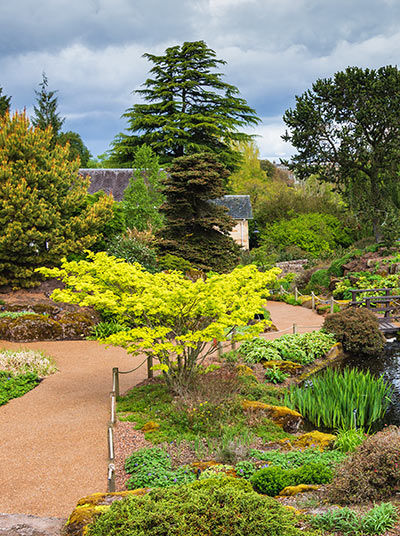Royal Botanic Garden