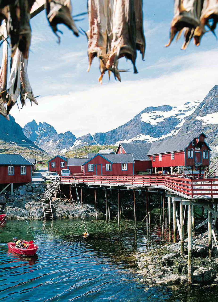 Cabins in Reine