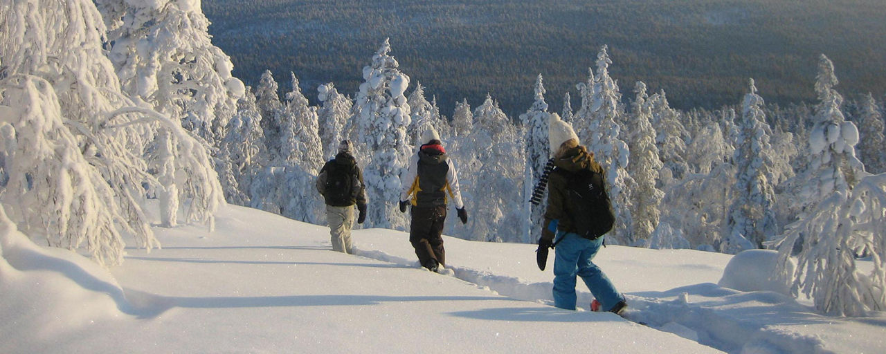 Rovaniemi