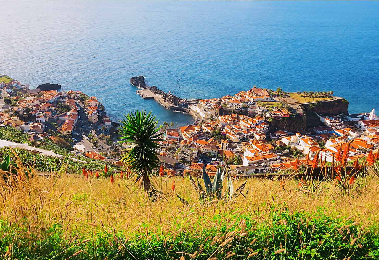 Blick von einem mit Blumen bewachsenen Hügel auf Funchal
