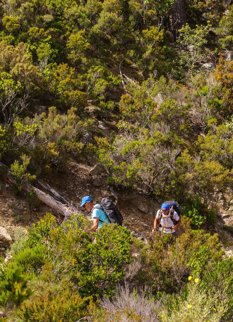 Hikers