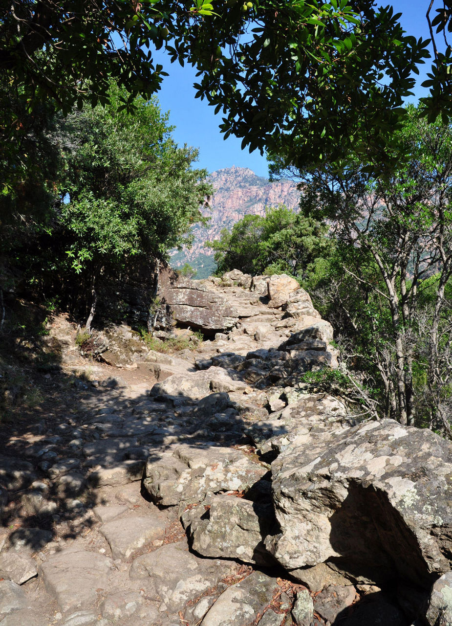 Hiking Trail