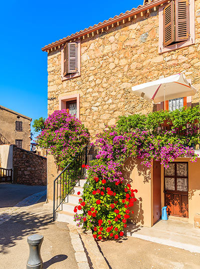 House with flowers