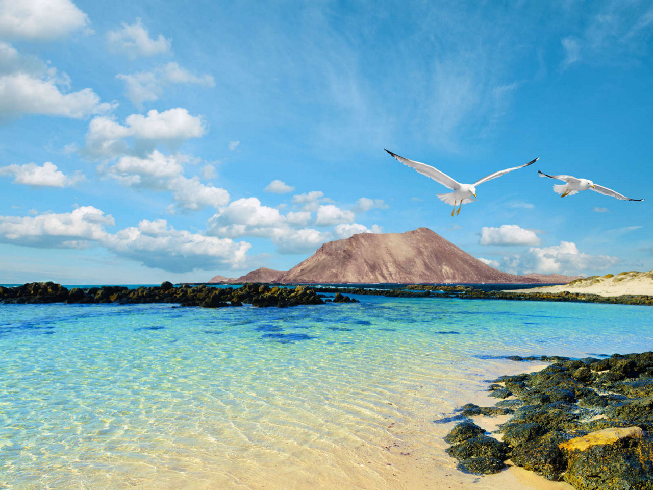 Crystal clear sea with a mountain in the background and two flying seagulls in the foreground