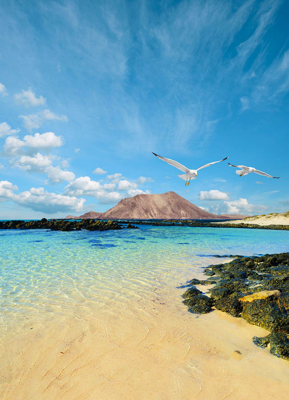 Crystal clear sea with a mountain in the background and two flying seagulls in the foreground