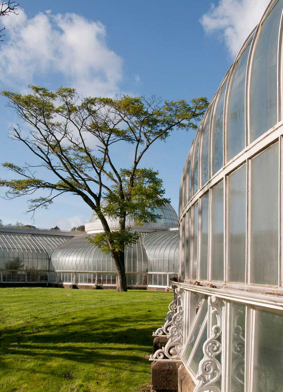 Glasgow Botanic Gardens