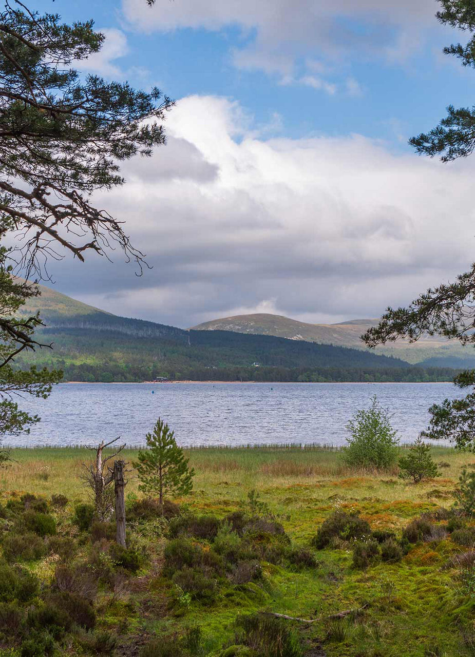 Loch Morlich Cairngorms National Park  